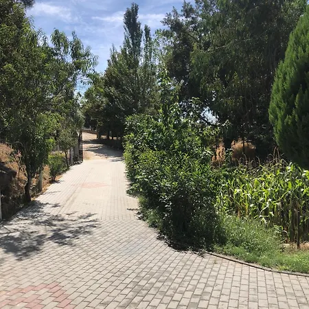 Quinta Da Fervenca, Private River Place To Relax.. Vakantiehuis *