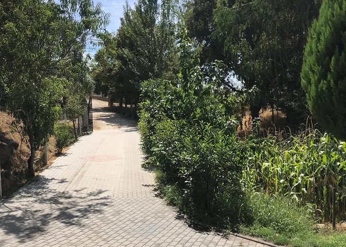 Quinta Da Fervenca, Private River Place To Relax.. Semesterbostad *